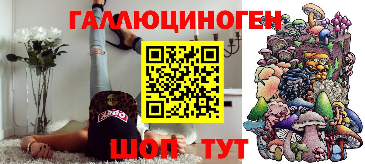 Псилоцибиновые грибы Psilocybine cubensis  Вход с VPN  Черняховск  хочу   Галлюциногенные грибы GOLDEN TEACHER 