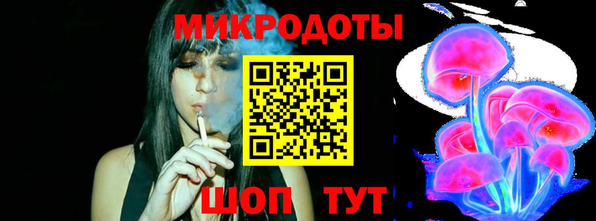Псилоцибиновые грибы Cubensis Черняховск